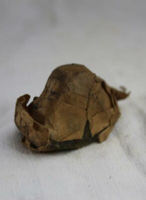 Bouton klaxon NOS Harley-Davidson WLA-WLC-UL-XA